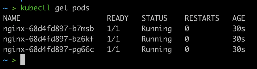 kubectl get pods