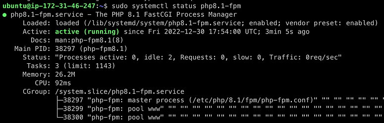 check php fpm status